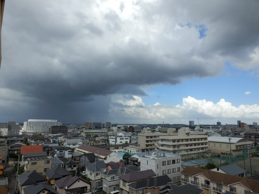 【占い】 簡単紹介 十二星座 性格 恋愛運 仕事運 金運 健康運